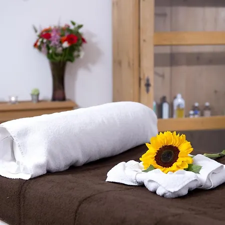 Wiesenegg Kitzbühel